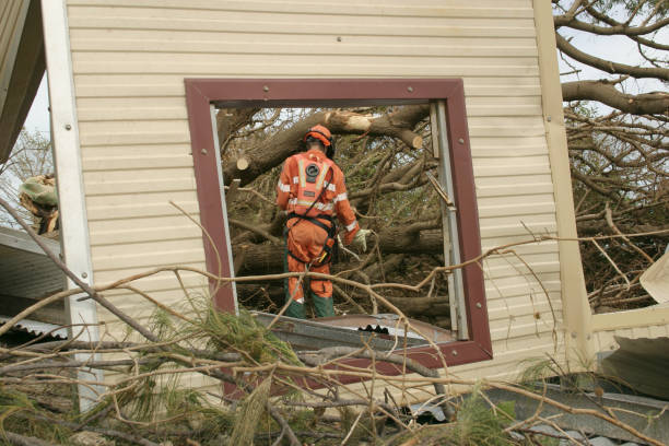 Best Commercial Tree Services  in Woodsfield, OH